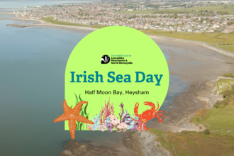 Irish Sea Day Event Banner