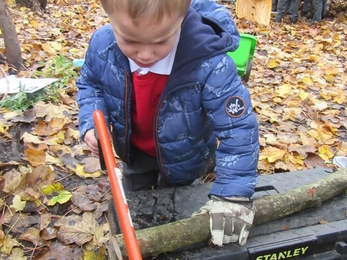 Child using a bow saw at Forest School