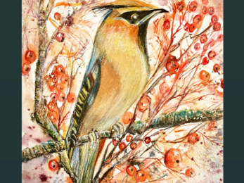 Waxwing irruption inspiration Artwork by Ann Williams