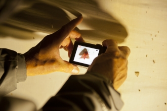 Someone taking a picture of a ruby tiger moth that has been attracted to a light trap