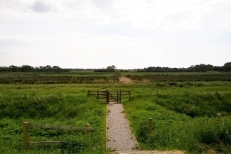 A footpath at Lunt Meadows nature reserve in Merseyside