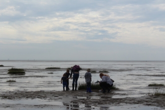 A group of people searching for wildlife in the mud at a beach