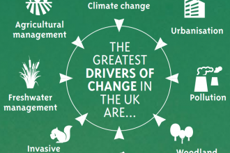 The main drivers of nature decline identified by the UK State of Nature report 2019