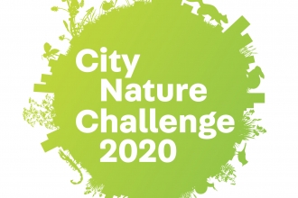 city nature challenge 2020
