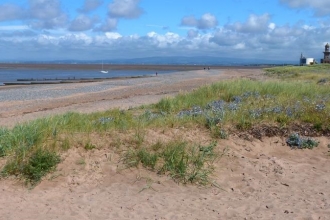 Grass and wildflowers growing on Fleetwood beach