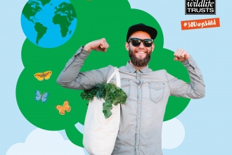 A man with a bag of leafy greens standing in front of graphics of a tree and birds