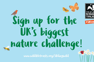 Sign up for 30 Days Wild 2021 - the UK's biggest nature challenge