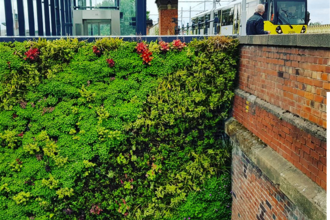 Green wall at Manchester tram stop by Kirstie Andrews