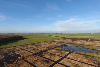 An aerial shot over the carbon farm at Winmarleigh Moss, where green agricultural land borders a restored peatland landscape that is filling with water