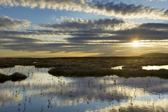 Pool system on peat bog as the sun is setting