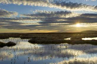 Pool system on a peat bog as the sun is setting