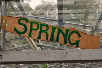 A sign with the word 'spring' painted on it