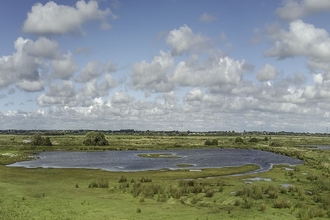 Panoramic shot of Lunt Meadows, showing the dry grasslands and reedbeds on a clear day.