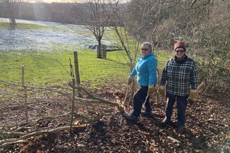 Two volunteers smiling next to an area of laid hedge