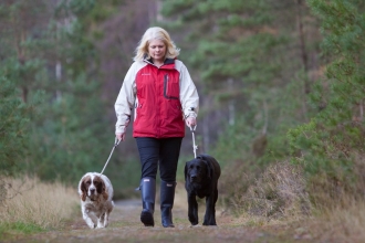 A woman walking two dogs on leads through woodland