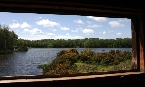 The view from the Rufford Hide at Mere Sands Wood