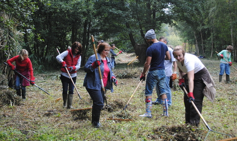 A group of nature reserve volunteers raking grass in a wooded clearing