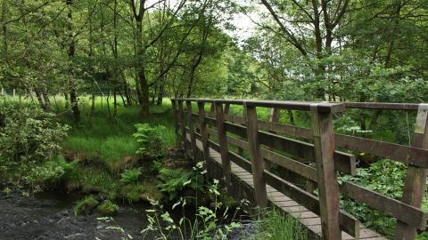 A wooden bridge across a river at Heysham Moss nature reserve