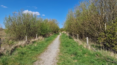 The path at Middleton Nature Reserve