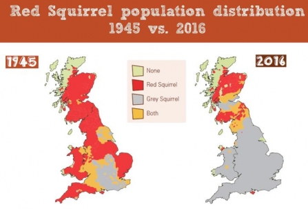 Plight of red squirrels map