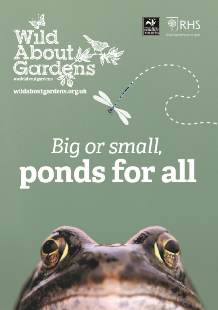 Download the Wild About Gardens leaflet and find out how to work a pond into your garden