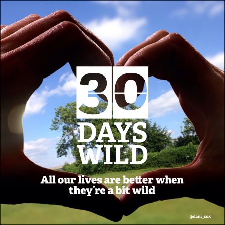 30 Days Wild is a wonderful way to experience the nature where you live