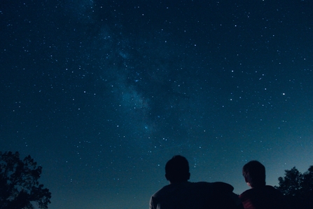 Two people stargazing on a clear night next to trees