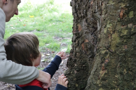 A little boy and his mum enjoying a bug hunt at Whitworth Park and Gallery