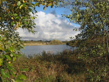 A view of one of the pools at Wigan Flashes Nature Reserve