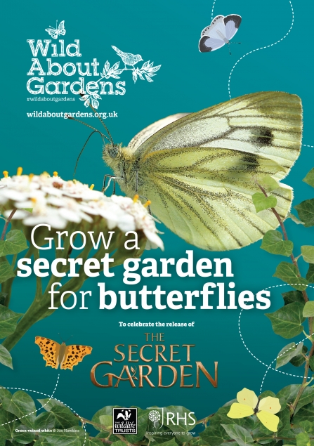 Download the Wildlife Trust guide to growing a secret garden for butterflies