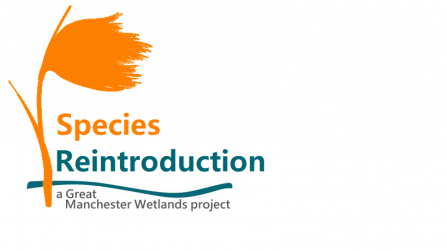 Great Manchester Wetlands Species Reintroduction Logo