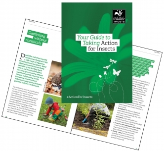 The Wildlife Trust's Action for Insects guide tells you how you can help insects where you live