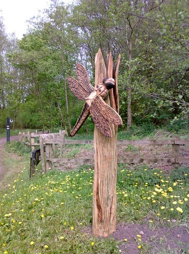 A large wooden dragonfly statue standing amongst wildflowers at Darcy Lever Gravel Pits