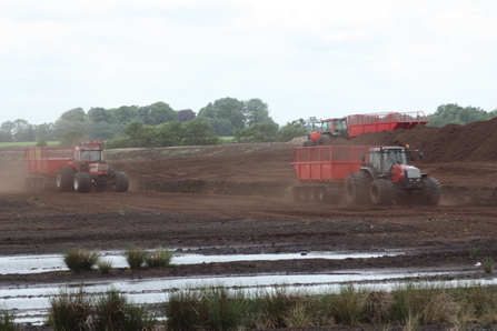 Tractors and trailers removing peat from Little Woolden Moss leaving a brown wasteland devoid of life