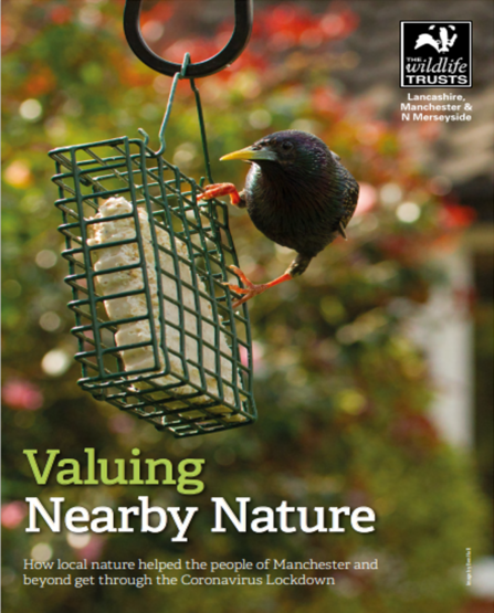 The front cover of Lancashire Wildlife Trust's Nearby Nature report
