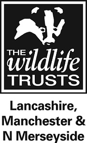 The logo of the Wildlife Trust for Lancashire, Manchester and North Merseyside