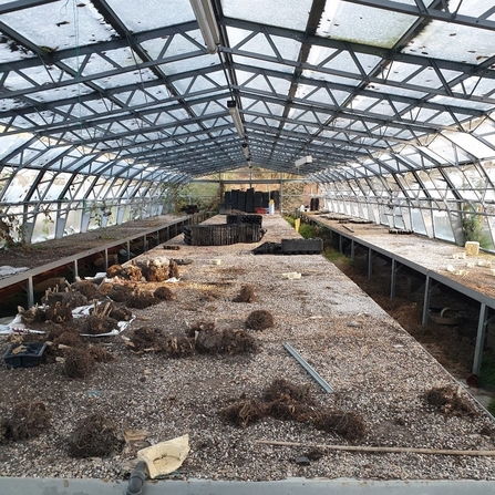 Greenhouses at Witton Park, Blackburn