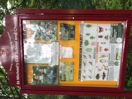 A notice board at St Michael's eco church filled with wildlife ID posters and information sheets