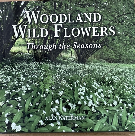 Woodland Wild Flowers by Alan Waterman