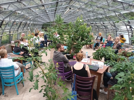 Local social prescribers attend an event at the greenhouses