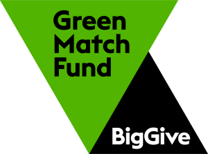 Big Give Green Match Fund Logo
