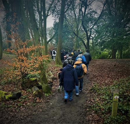 A group of people walking through a woodland