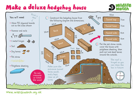 Instruction graphic on how to build a hedgehog house