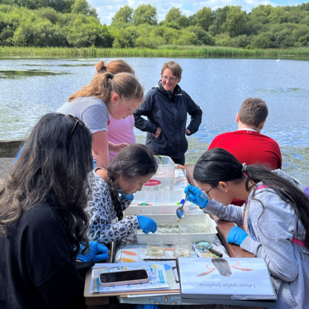 A group engaging in a pond dipping activity at the water's edge on a sunny day