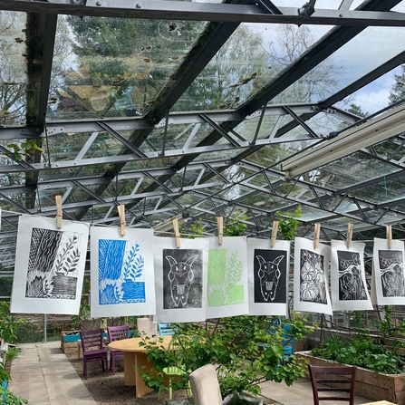 Colourful lino prints pegged across a greenhouse