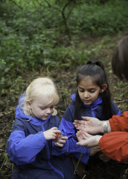 Two young children looking at a bug in a bug pot during a Forest School session