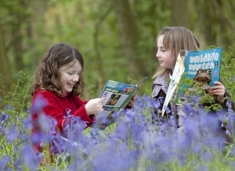 Two kids reading Wildlife Watch magazine among the bluebells in the woods