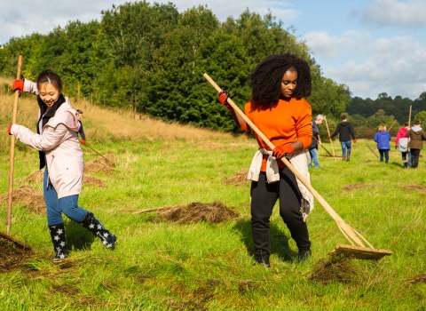 Siemens employees taking part in a Wild Wellbeing Day at Brockholes Nature Reserve