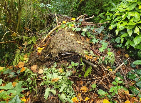 Habitat pile of sticks, leaves and dead grass