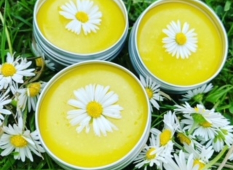 Three small metal pots full of daisy balm and topped with a daisy flower-head